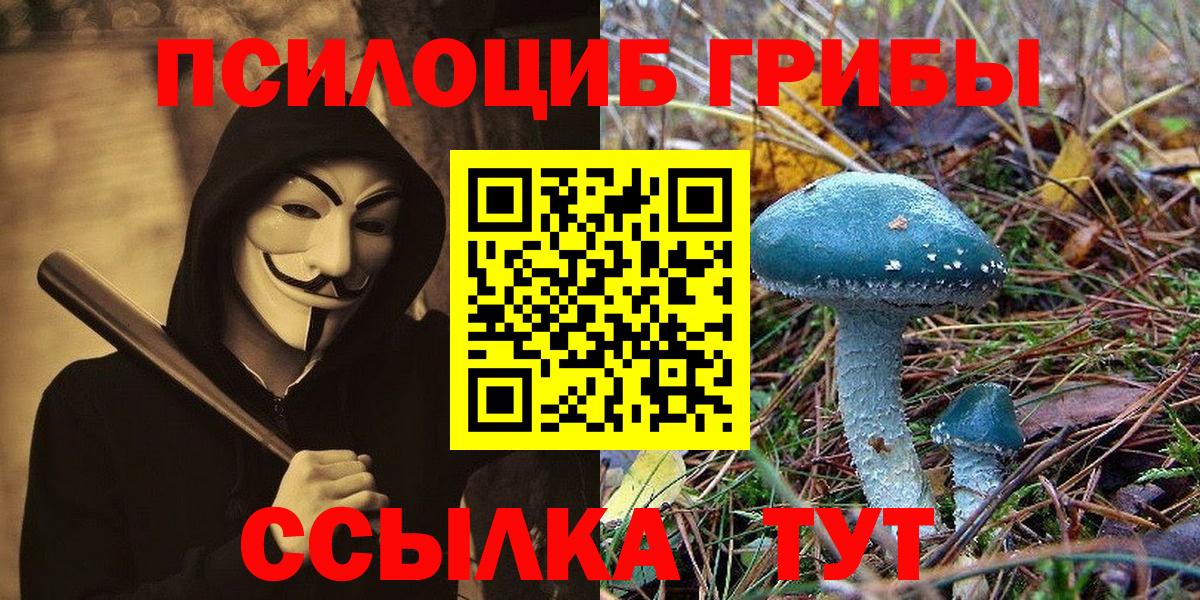 Сыктывкар  Псилоцибиновые грибы Psilocybe  Вход с VPN 
